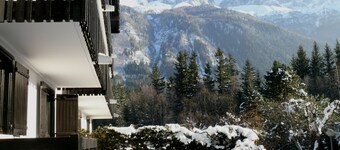 Chamonix, 3 bedroom apartment located 10 minutes walk from the center.