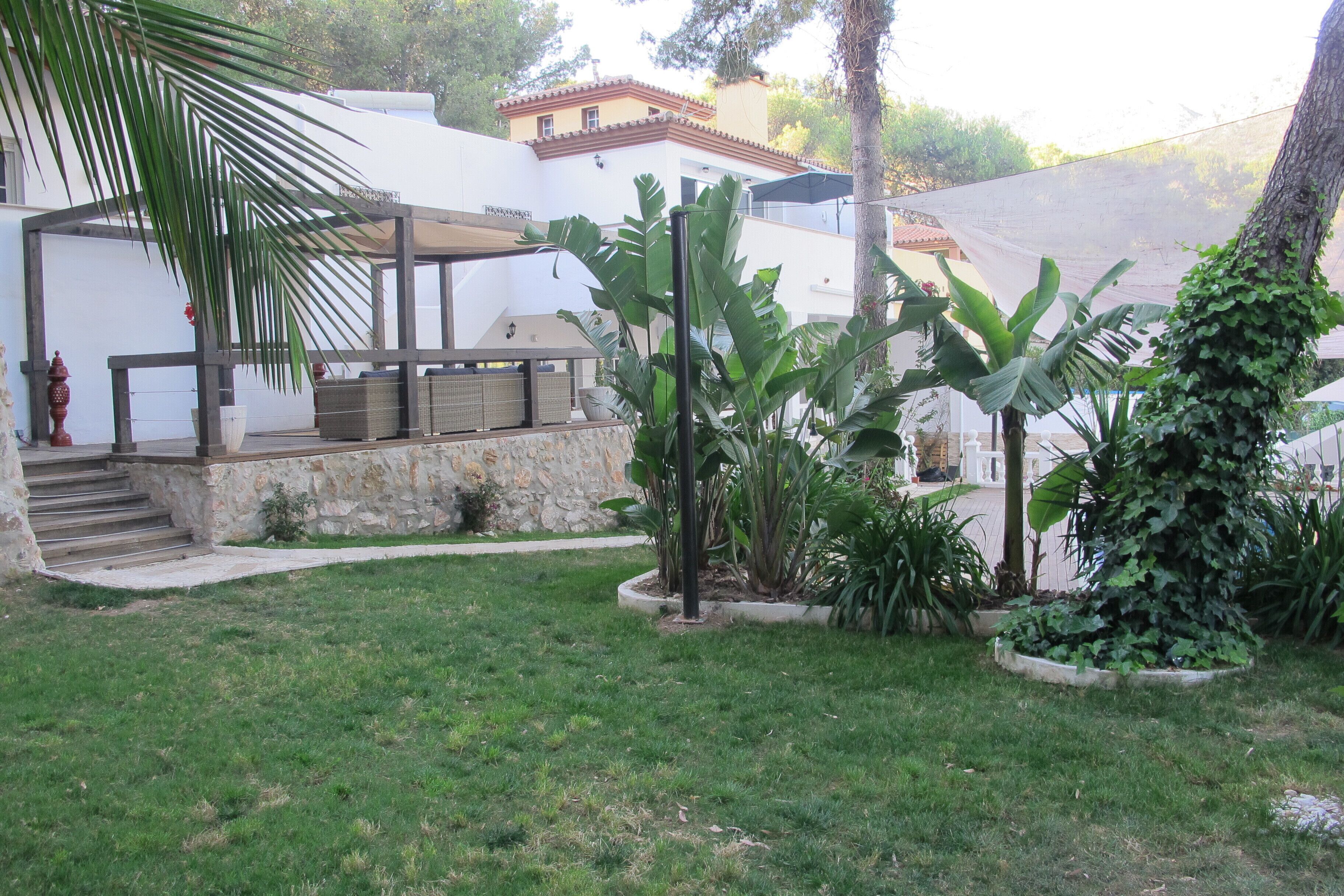 A courtyard with a stone wall, a palm tree, and a covered seating area.