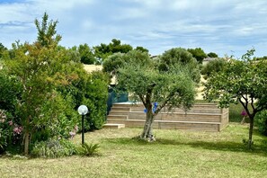 Un jardin avec différents arbres et un banc en bois.
