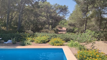 Surrounded by lush gardens and tall trees, this serene pool area offers a tranquil atmosphere.