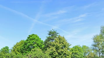 Una carretera rural serpentea por un paisaje verde con árboles y un cielo azul despejado.