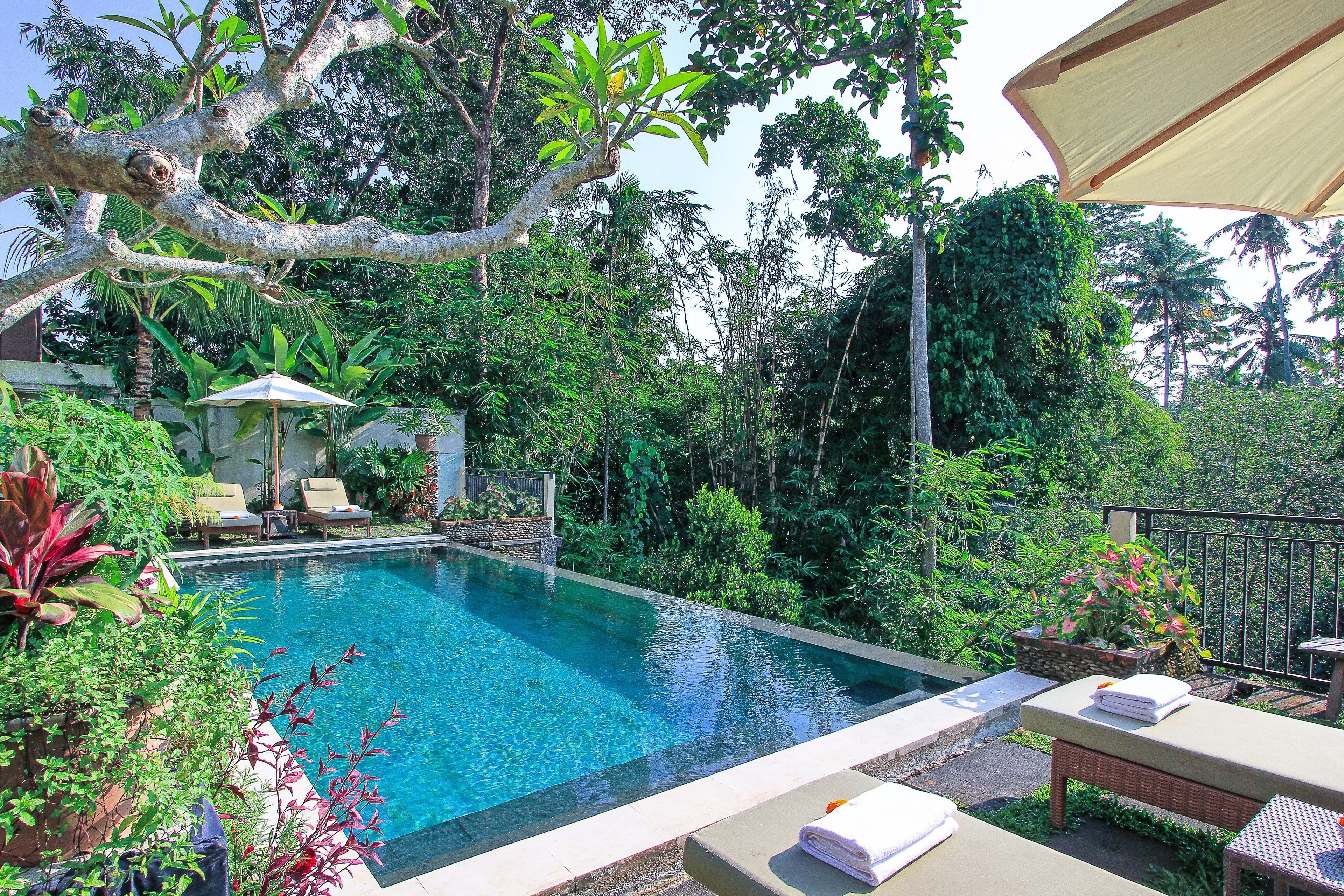 Photo - Nata Ubud