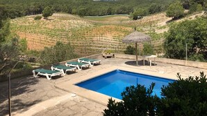 A pool area with lounge chairs and a thatched umbrella, surrounded by terraced vineyards and a mountain in the background.