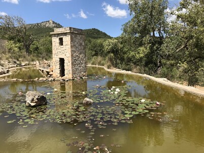  S’OLIVAR, Tranquila finca mallorquina. Entorno incomparable,  ET 2993