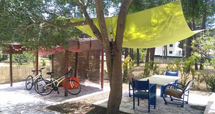 Little Leisure House - Amazing Leisures, AL