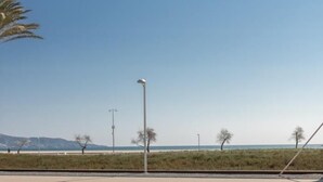 Eine Küstenstraße mit Straßenlaternen, einer Palme und spärlicher Vegetation.