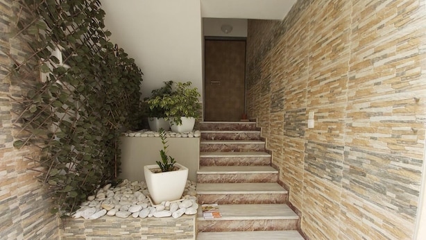 Un escalier avec des murs en pierre et des plantes en pot.