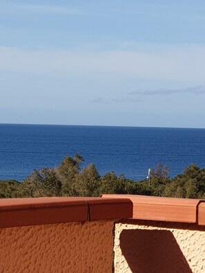 Vista desde la propiedad