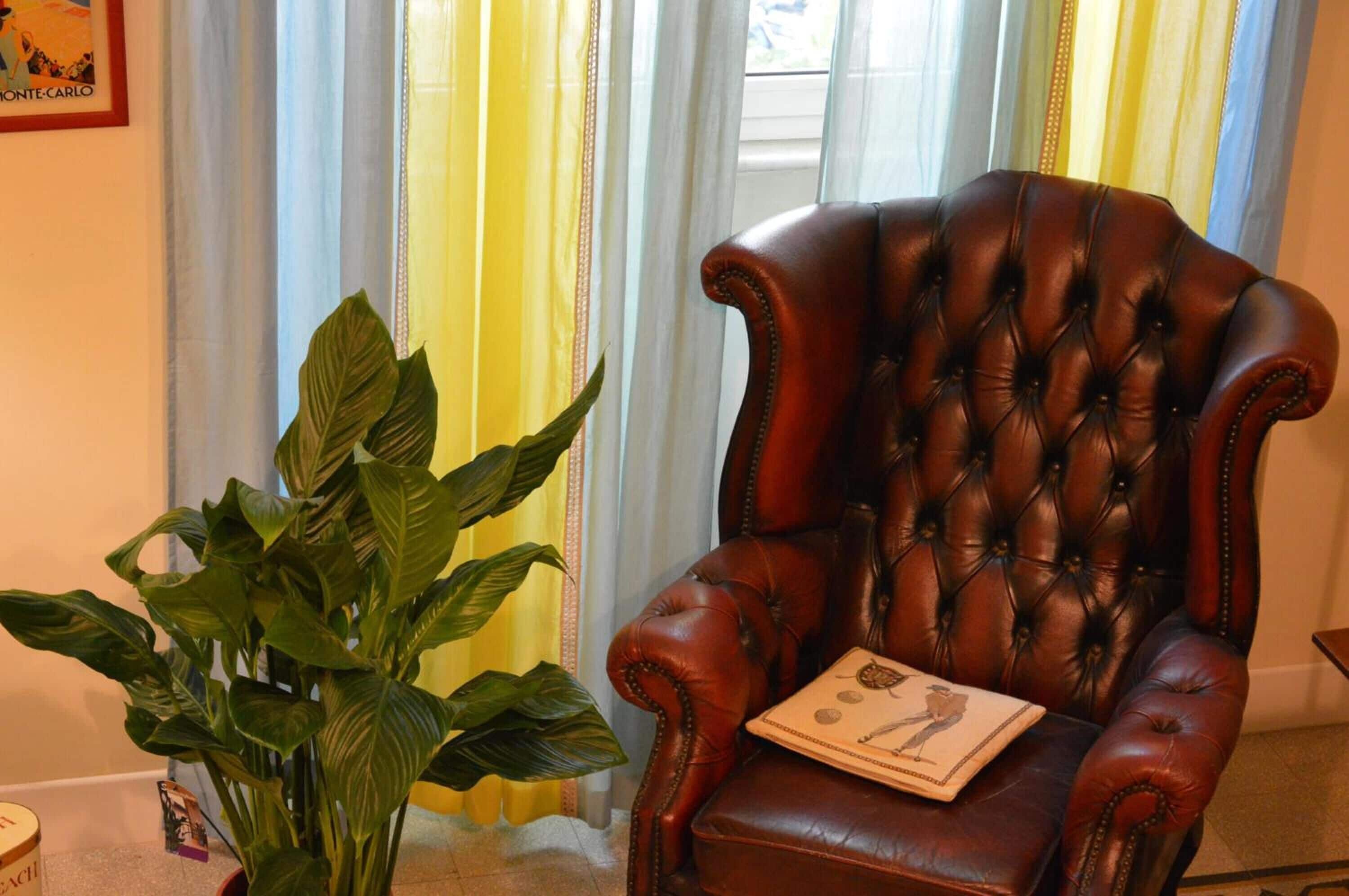 Een leren fauteuil met een kussen, een potplant en een lijst met een foto aan de muur.