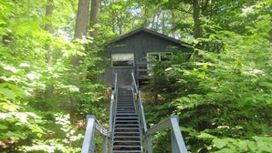 A wooden cabin with a staircase leading up to it, surrounded by dense forest. - Treehouse type cottage in private location - Pet friendly! (Franklin)