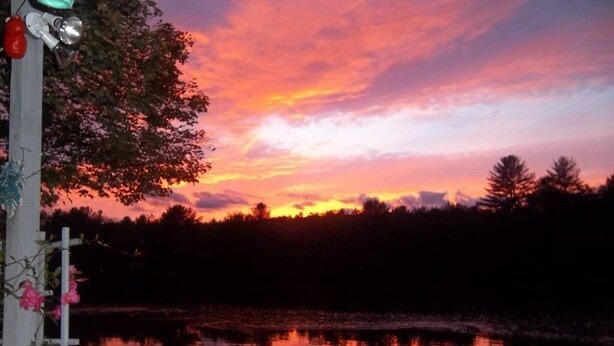 A serene lakeside view at sunset with a dock and a wooden structure with flowers. - Treehouse type cottage in private location - Pet friendly! (Franklin)