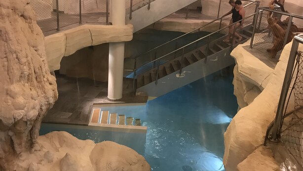 Uklassifisert bilde, 1 av 41, knapp