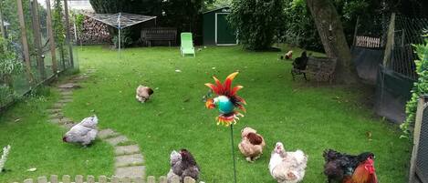 Terrain de lâhĂ©bergement