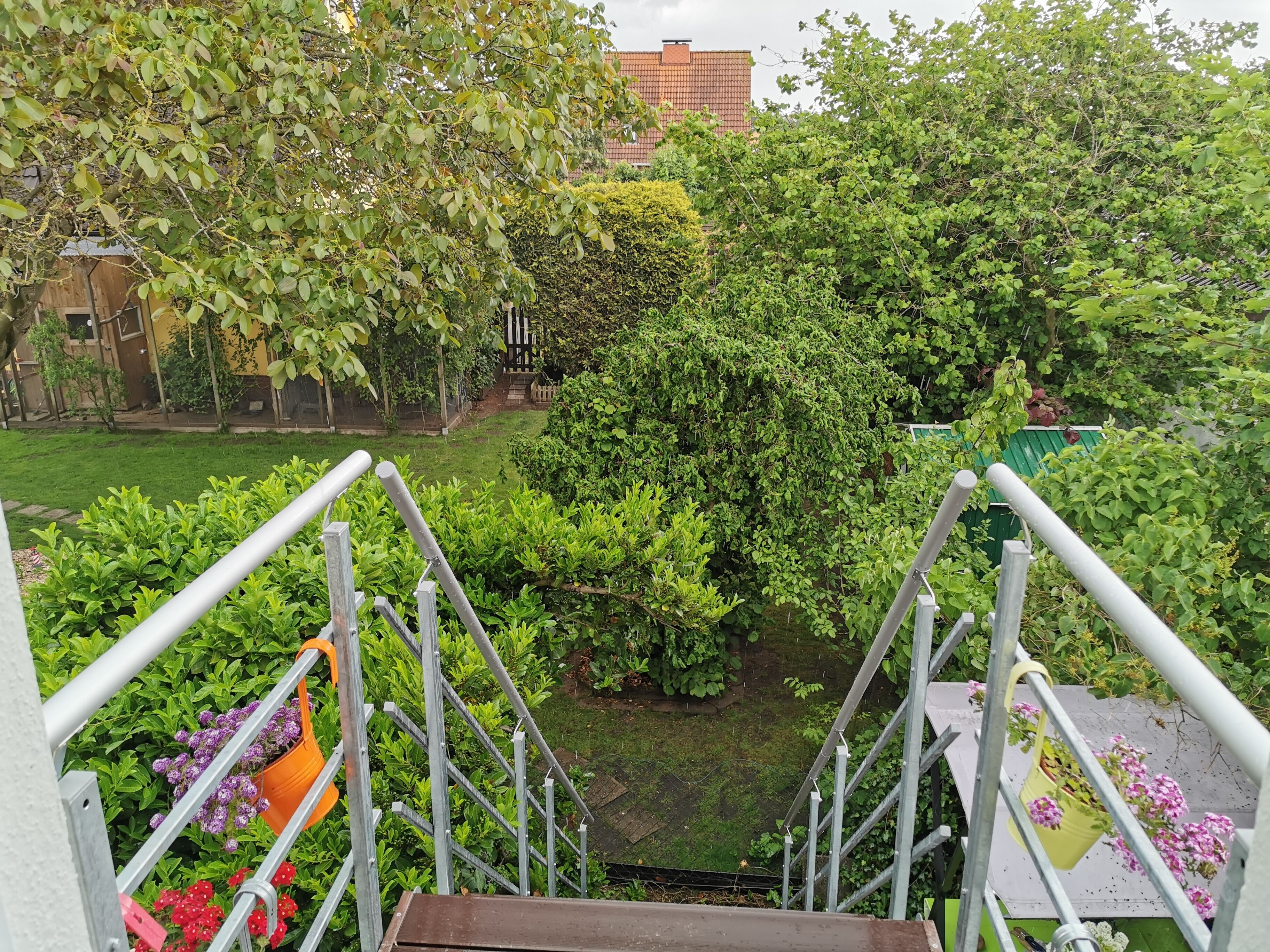 A view from a balcony with a metal railing, overlooking a garden with various plants and a building in the background.