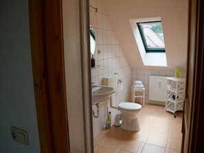 Een kleine badkamer met dakraam, wastafel, toilet en radiator.
