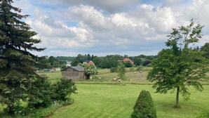 Een landelijk landschap met een schuur, schapen en bomen.