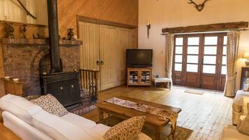 Télévision, cheminée, lecteur de DVD, livres