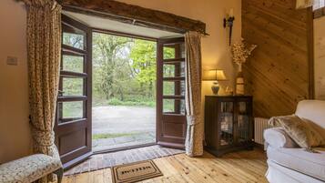 TV, fireplace, DVD player, books