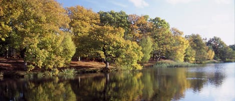 Sjö