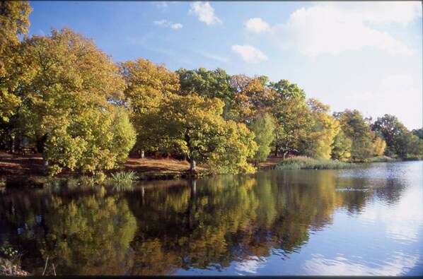 Lake