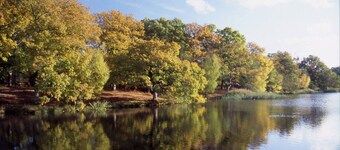 Forest of Dean Romantic & Rustic Holiday Cottage