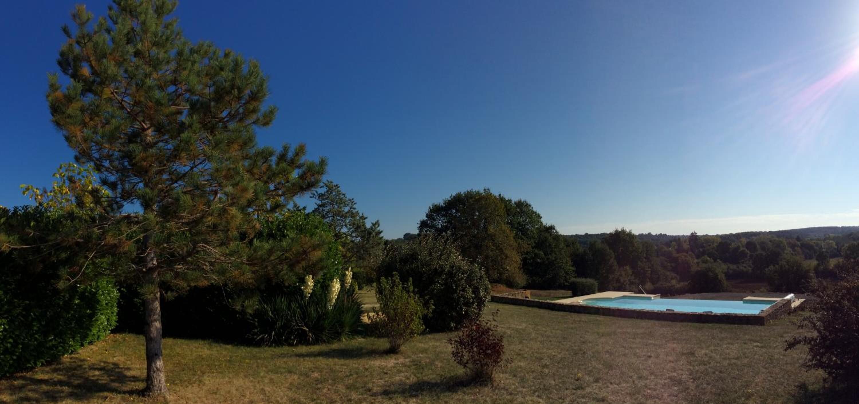 A swimming pool surrounded by trees and grass.