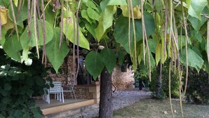 A stone building with a covered patio, surrounded by greenery and a grassy area. - Domaine de Manilau - B&B (Le Buisson-de-Cadouin)