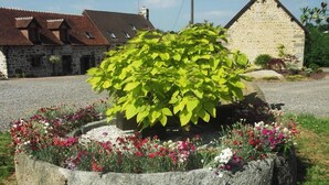A stone building with a thatched roof, surrounded by a gravel driveway and a flower bed with various flowers. - Ferme Cidricole Hugues Desfrièches (Sainte-Marguerite-de-Carrouges)