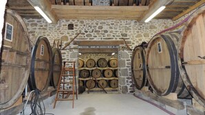 A stone-walled room with wooden barrels and a ladder. - Ferme Cidricole Hugues Desfrièches (Sainte-Marguerite-de-Carrouges)