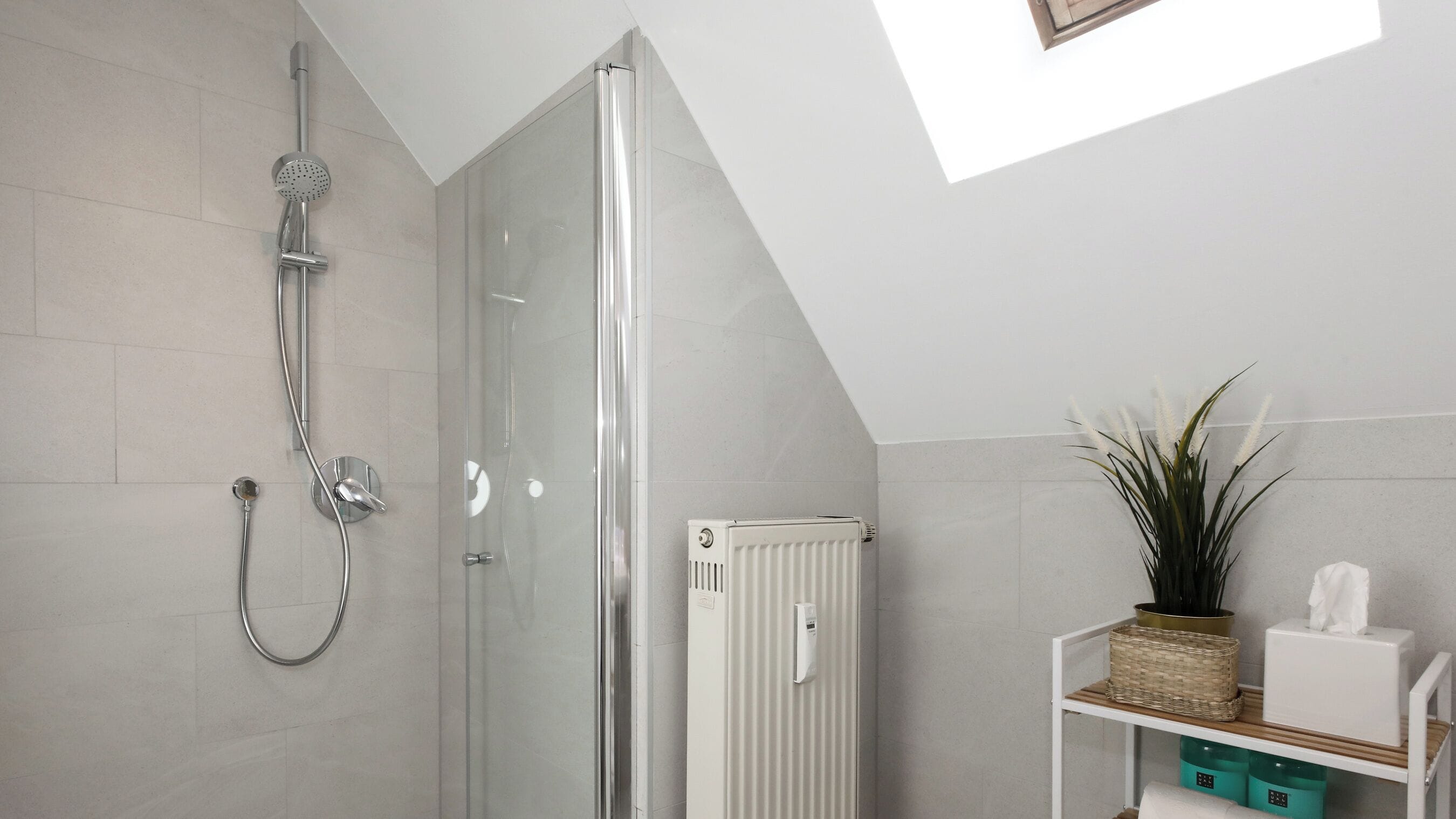 Ducha con puerta de cristal, radiador blanco y tragaluz en un baño con estante blanco y planta.