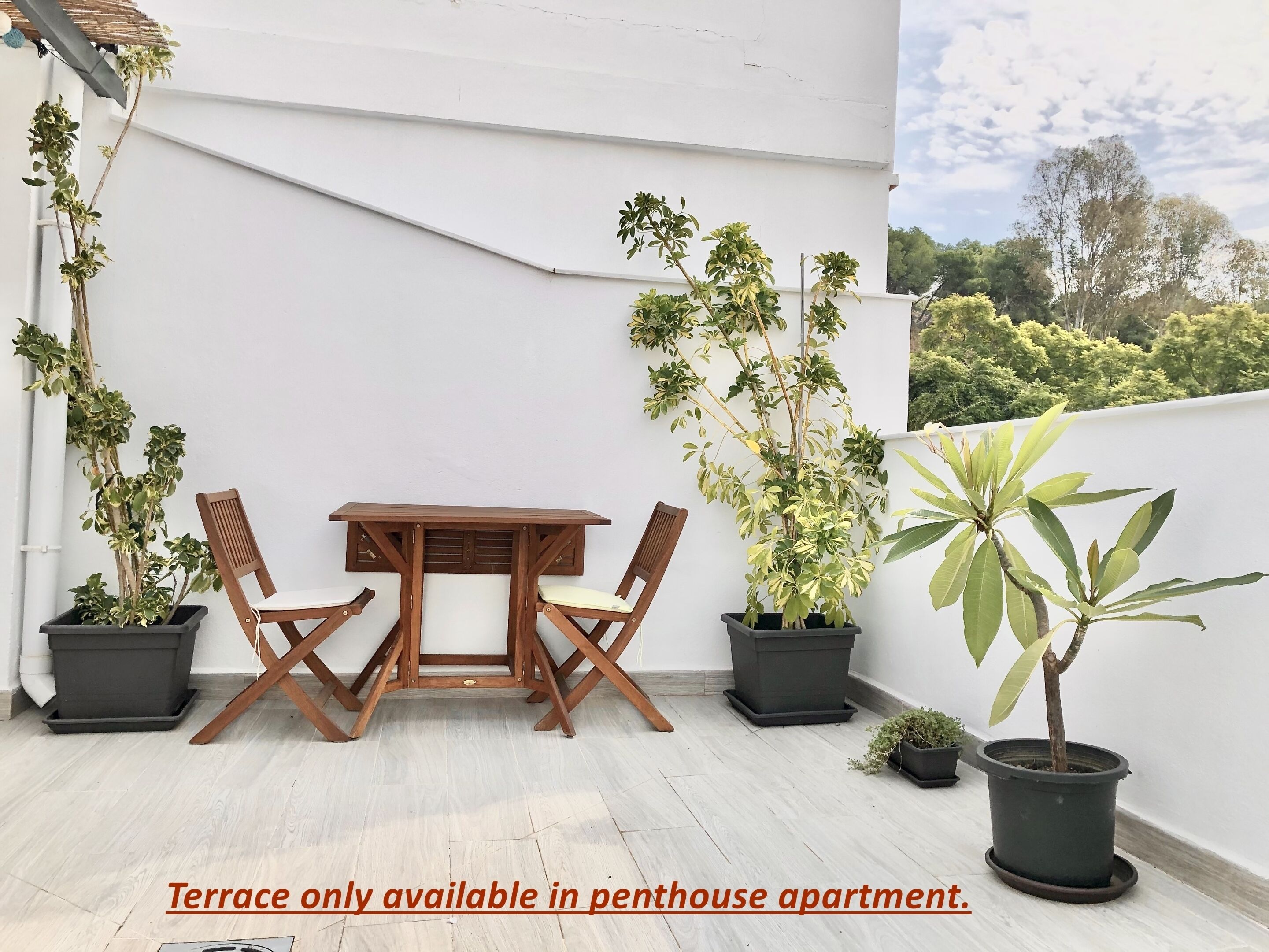 Een terras met een houten tafel en stoelen, omringd door potplanten.