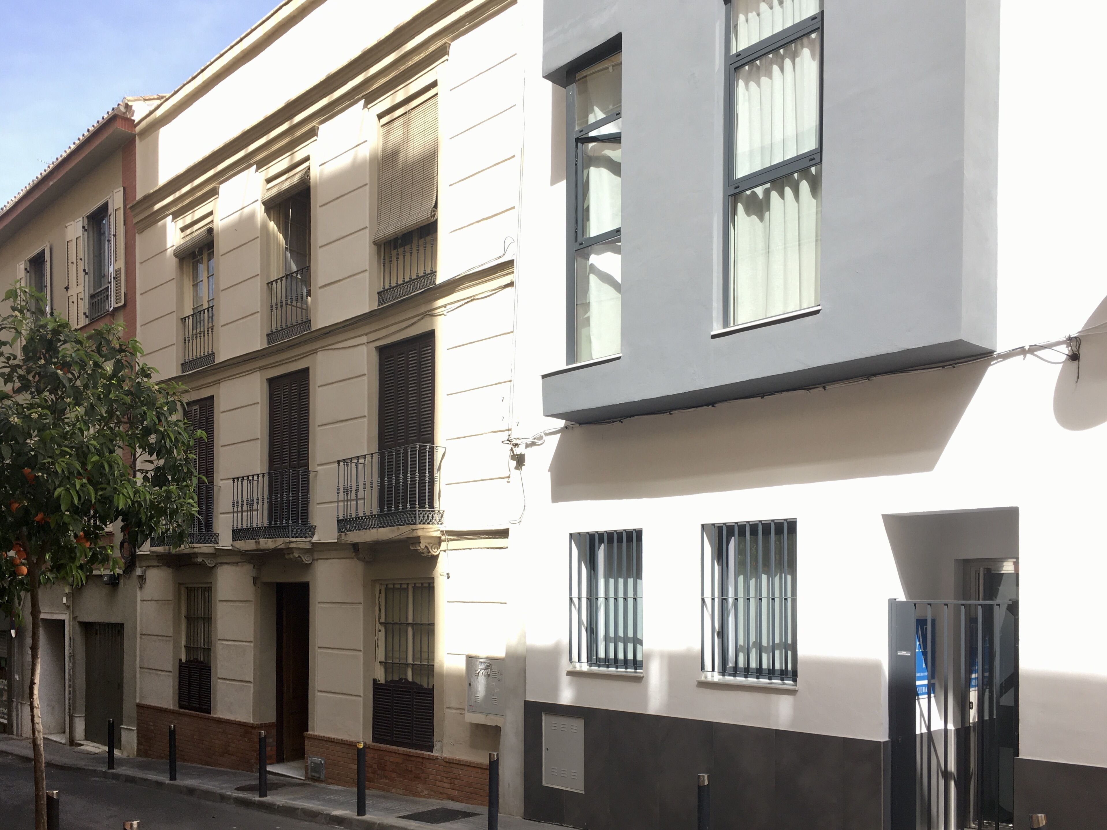 A multi-story building with balconies, a tree, and a street view.