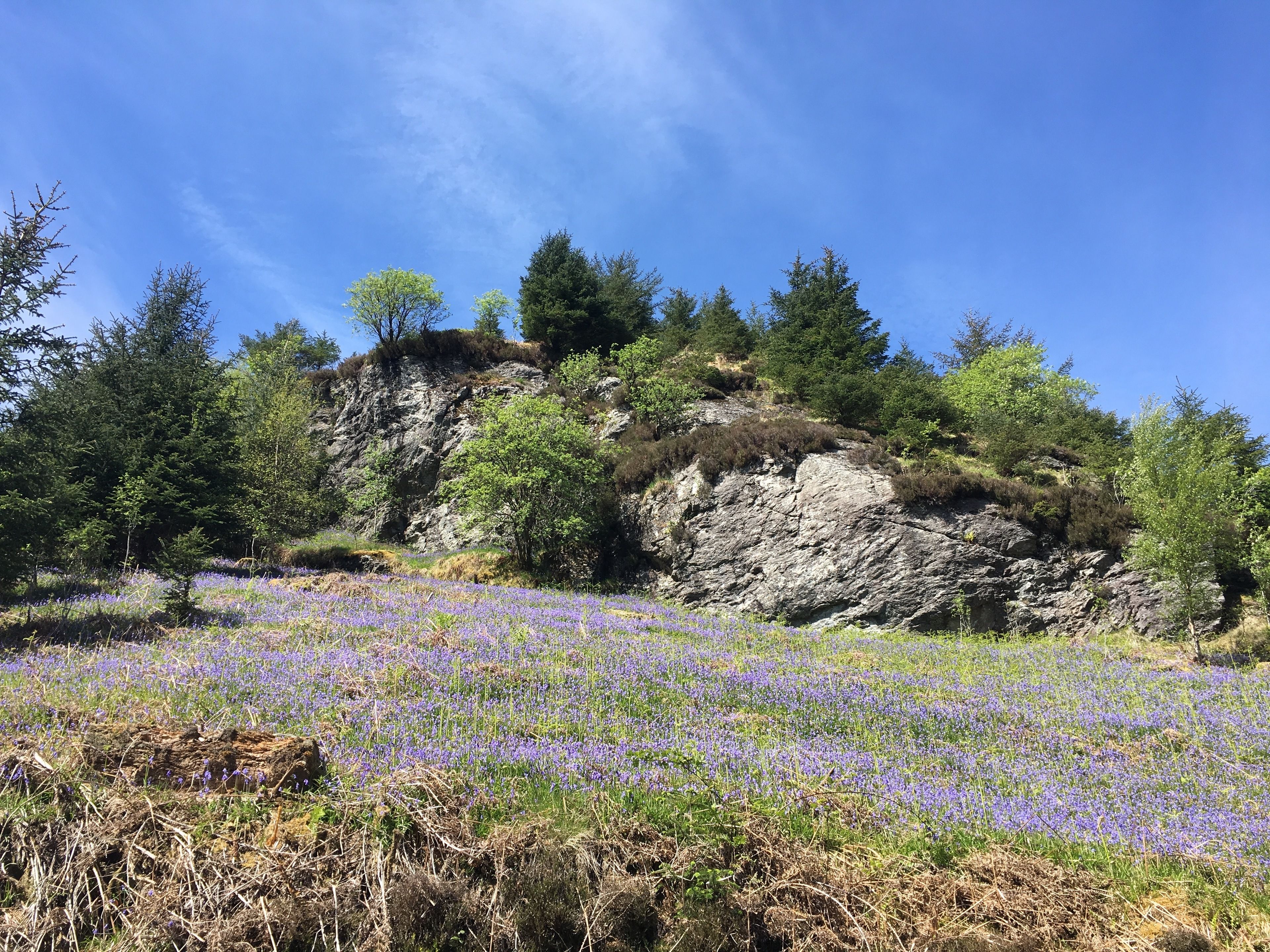 Land view from property