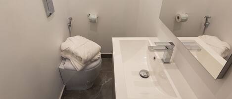 A modern bathroom with a toilet, sink, and mirror.