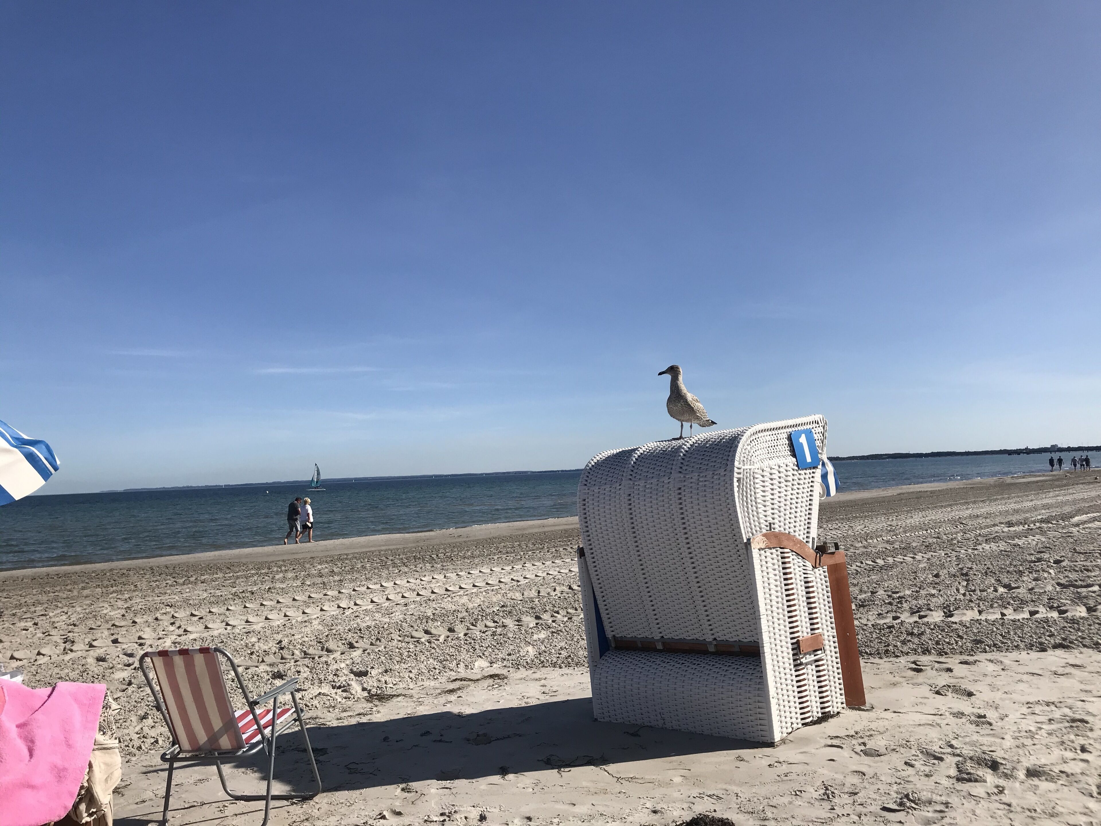 Une plage avec une chaise en osier et une serviette, un goéland perché sur la chaise, et un ciel dégagé.