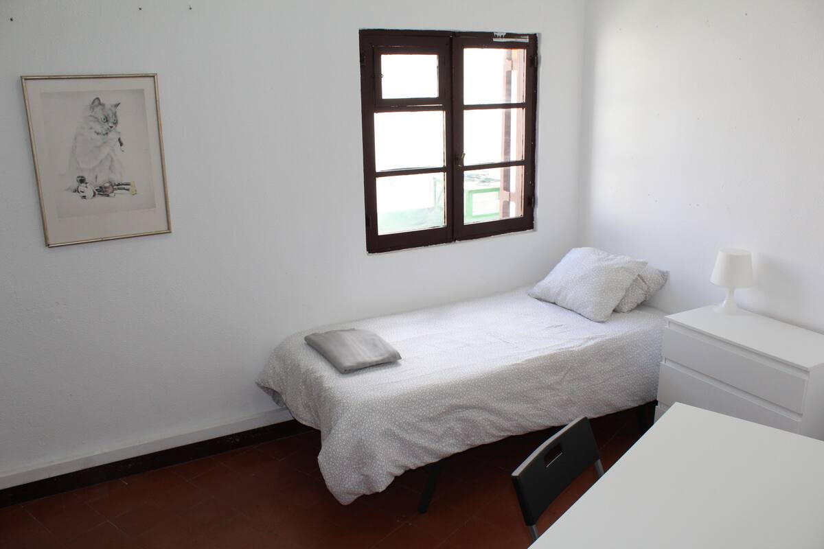 Economy Single Room, Courtyard View | Blackout curtains, iron/ironing board (on request), free WiFi