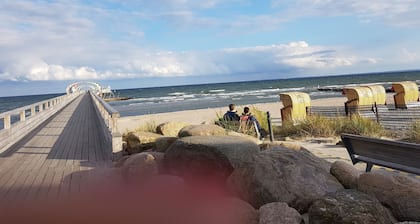 Vacaciones entre bosque y olas