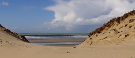 On the beach