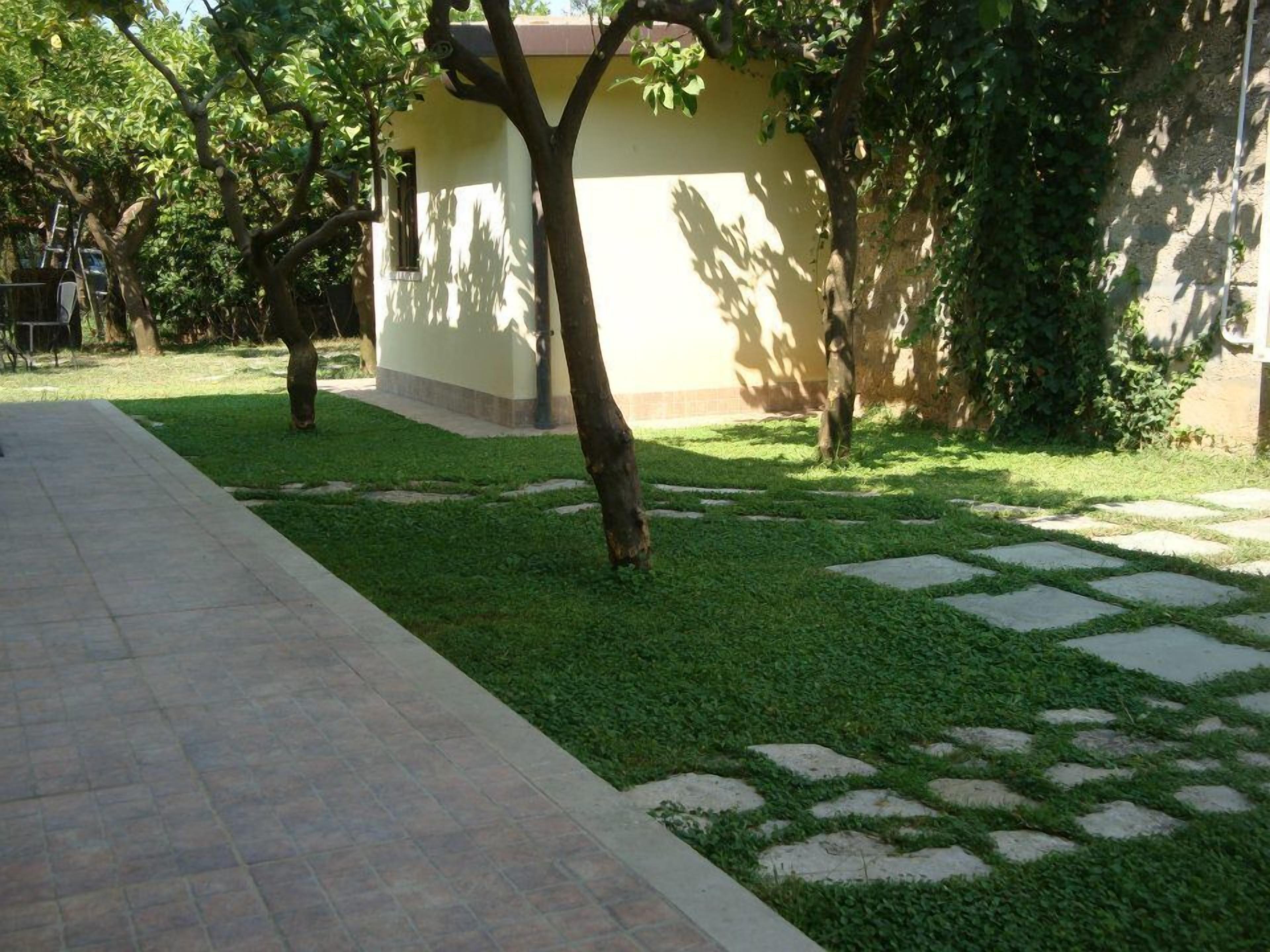 A courtyard with a paved walkway, a small building, and surrounding greenery.