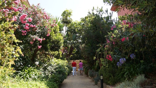 A pathway flanked by lush greenery and flowering plants, leading to a building with a red roof.