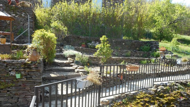 Een stenen muur met een houten omheining, een kleine tuin met diverse planten en een geplaveid pad.