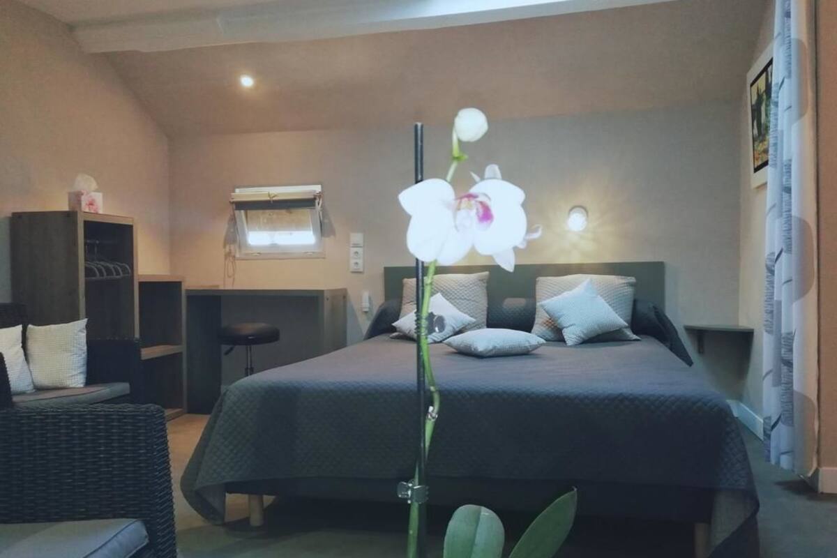 Individually decorated, individually furnished, desk, blackout curtains