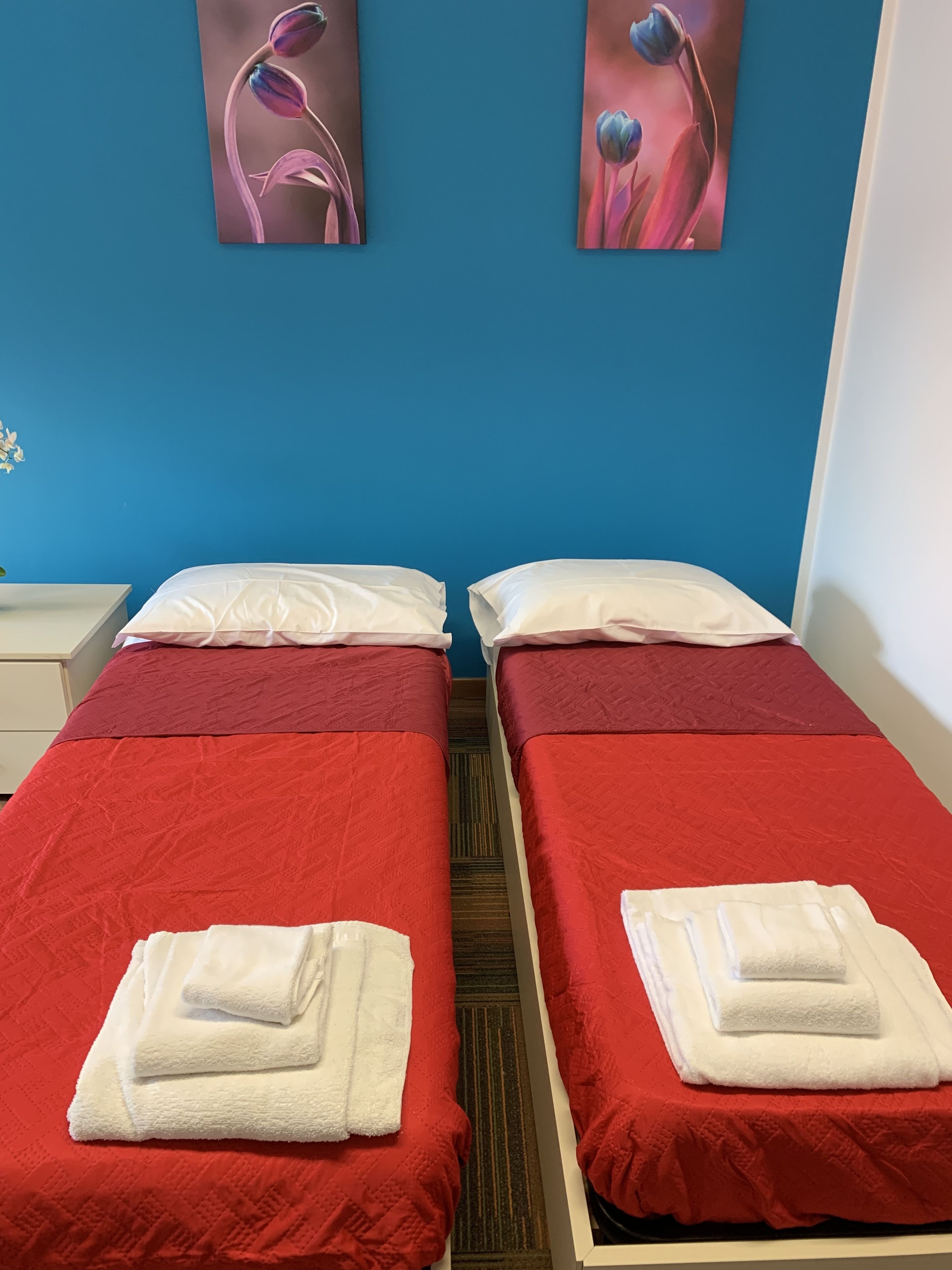 Ropa de cama hipoalergénica y wifi gratis