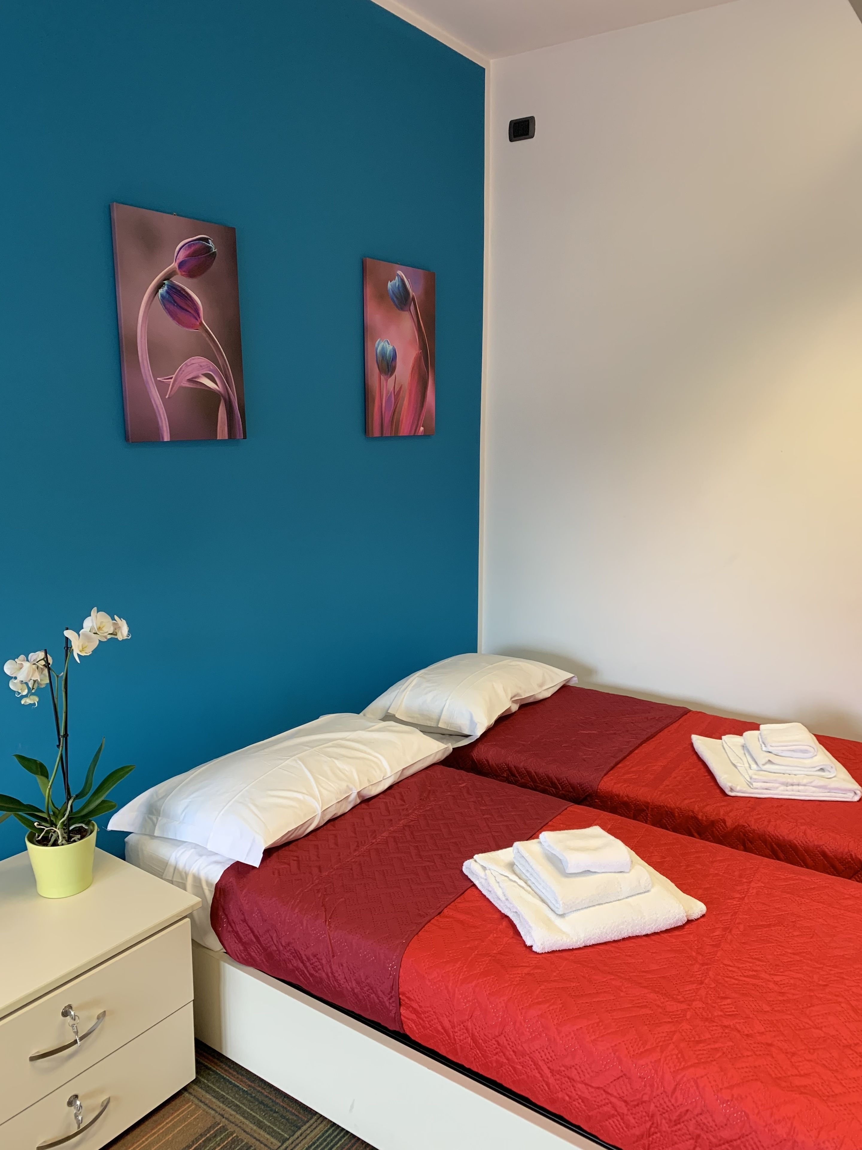 Habitación con 1 cama doble o 2 individuales | Ropa de cama hipoalergénica y wifi gratis