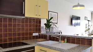 Een moderne keuken met een granieten aanrecht, een spoelbak en een plant in pot.
