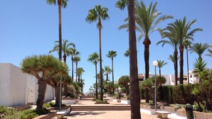 A paved pathway lined with palm trees and planters, leading towards a building with a white facade. - Residencial Duquesa 2091 Manilva (Manilva)