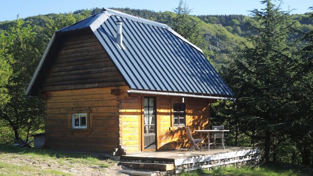 Una cabaña de madera con techo de metal, un porche y vista a una ladera boscosa.