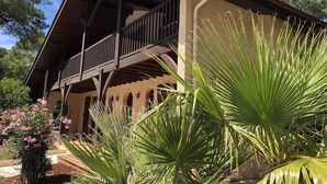 A two-story building with a balcony, surrounded by various plants.