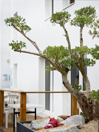 Exterior. Kyriad Direct Saint Brieuc - Parc des Expositions