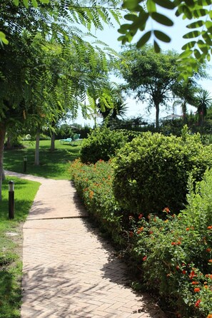 Terrein van de accommodatie